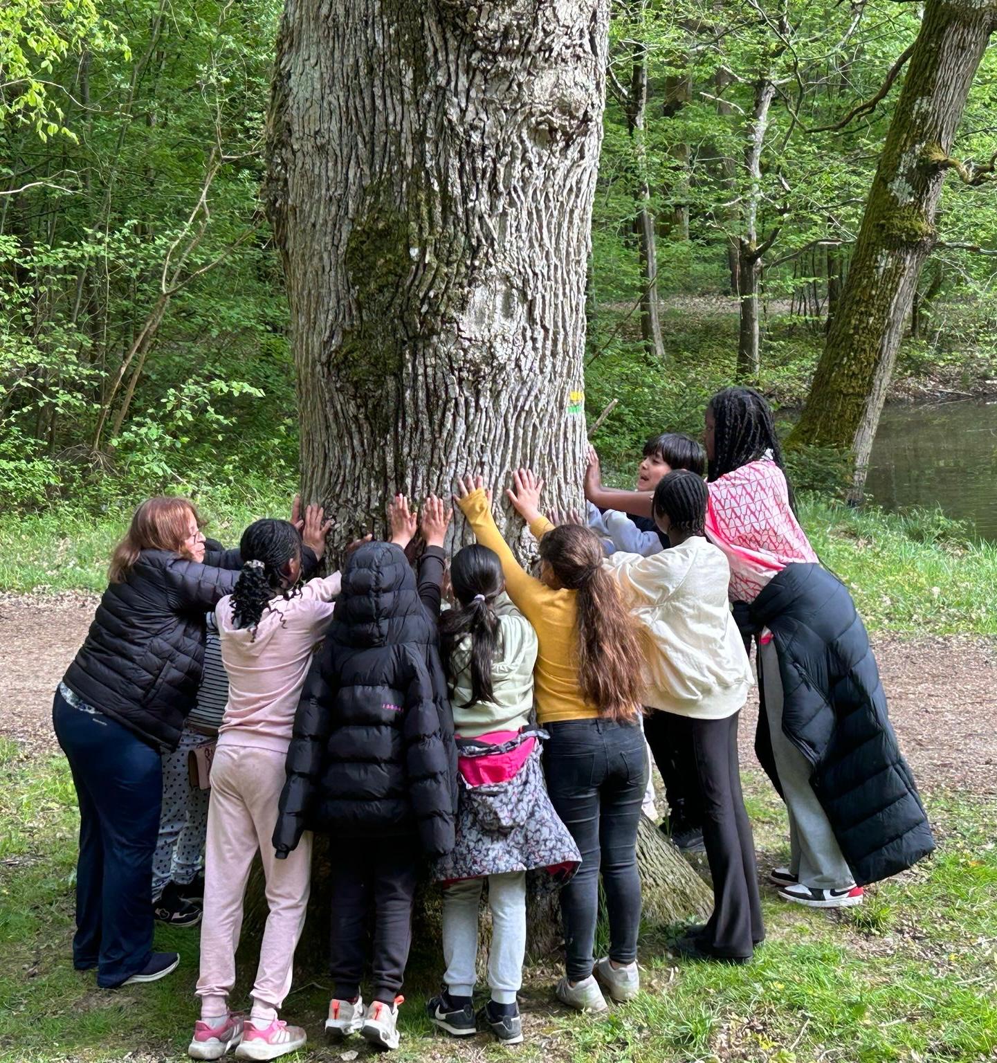 Nature et Environnement